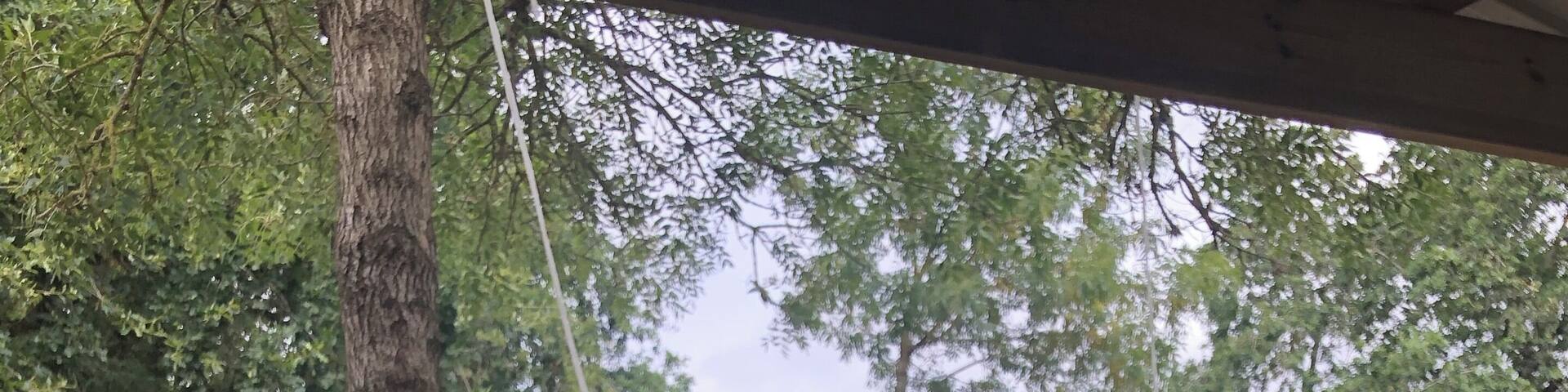 😜 petit resto sympa en compagnie des ânes