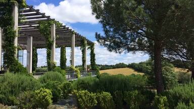Uma pérgola coberta por trepadeiras, um caminho e uma árvore num jardim ajardinado.