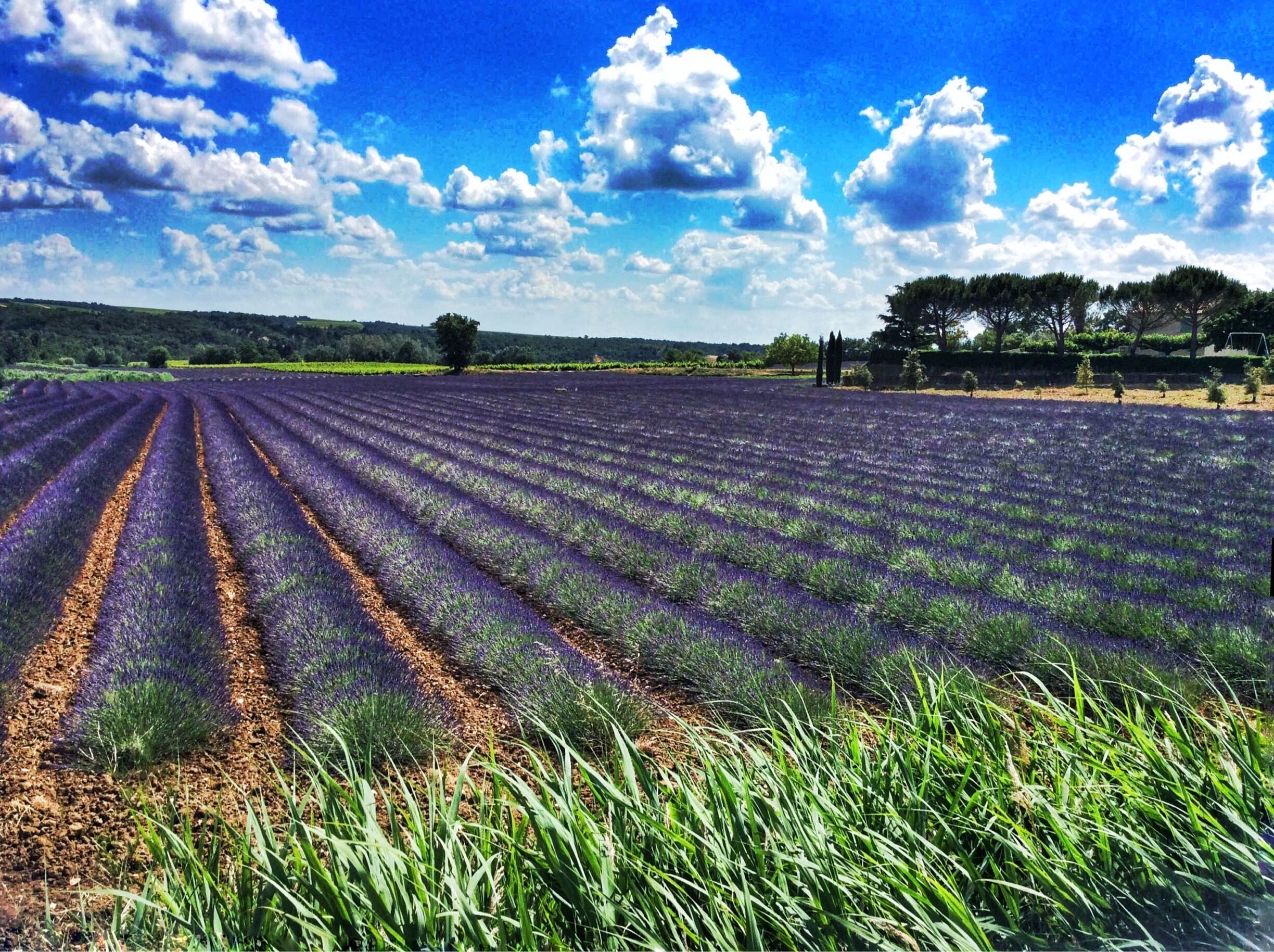 June 2015
Samsung smartphone