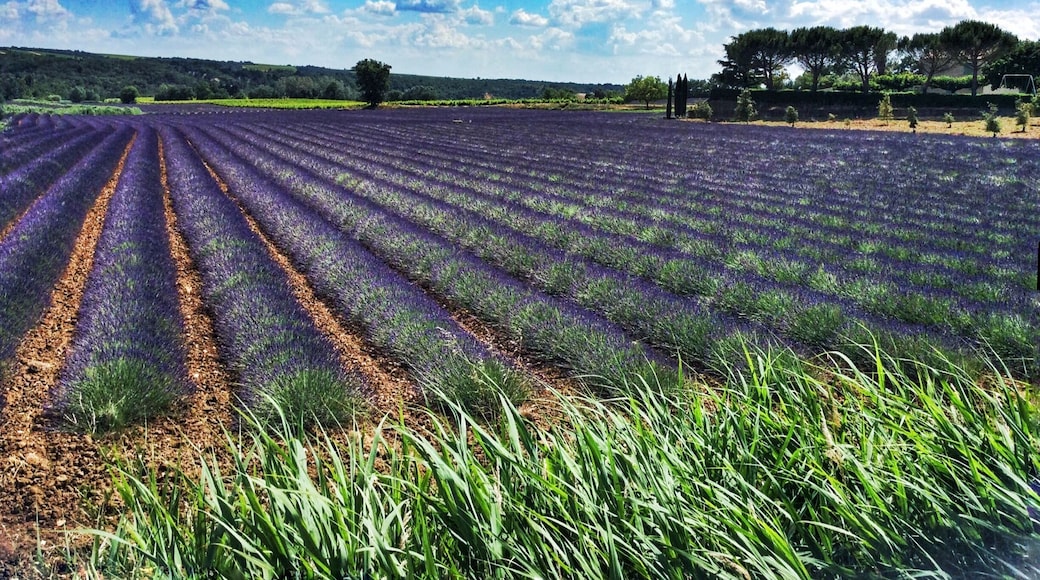 June 2015
Samsung smartphone