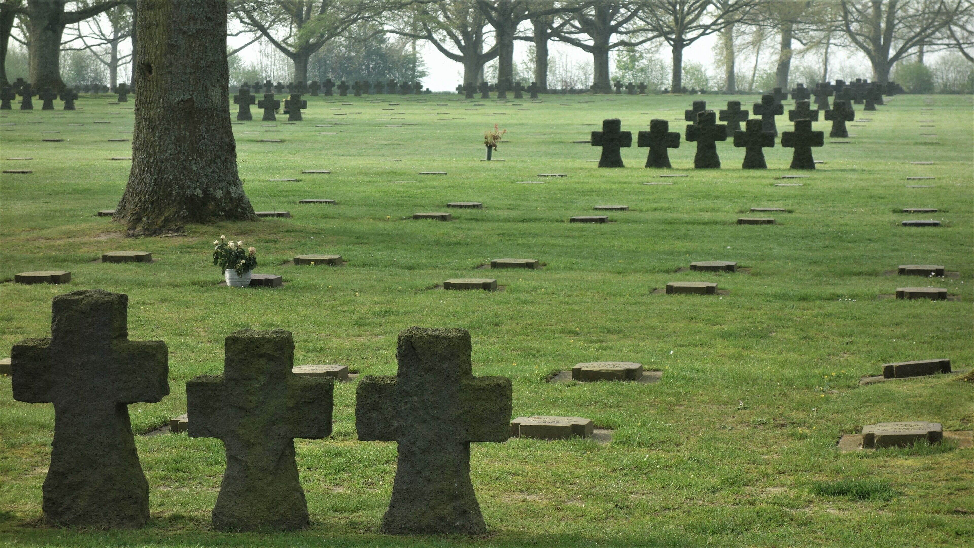 A cemetery with numerous stone crosses and a large tree in the foreground.