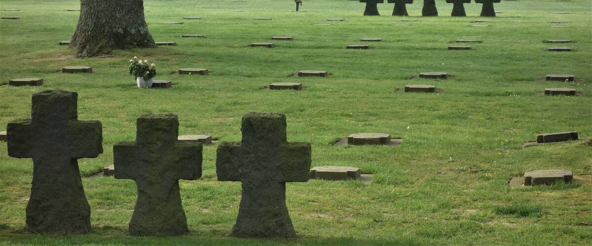 A cemetery with numerous stone crosses and a large tree in the foreground.