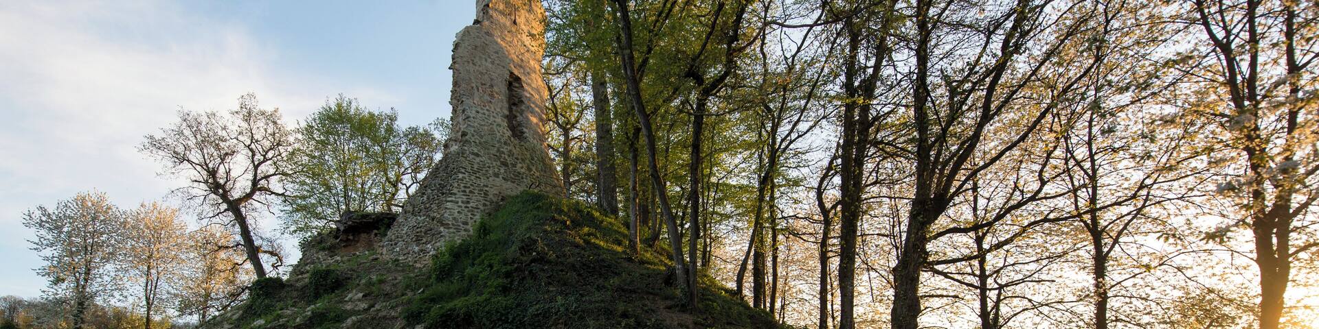 This building is indexed in the Base Mérimée, a database of architectural heritage maintained by the French Ministry of Culture, under the reference PA00135271 .