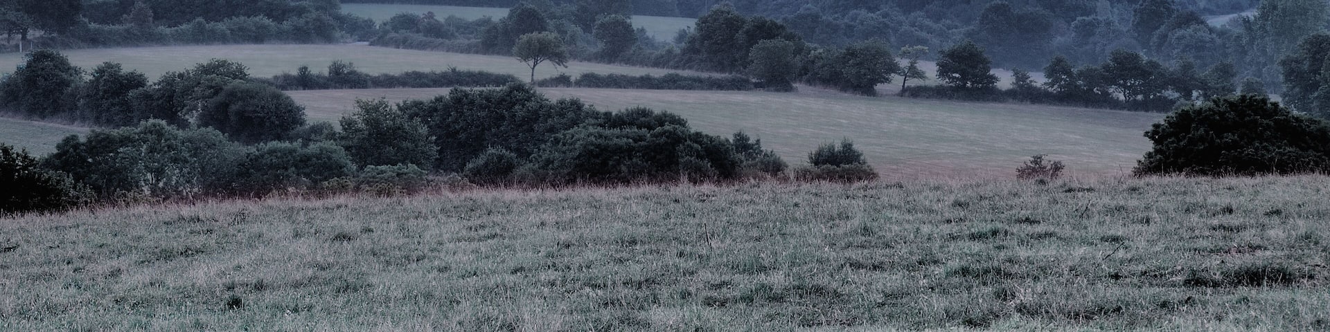 L'Île-d'Olonne, France