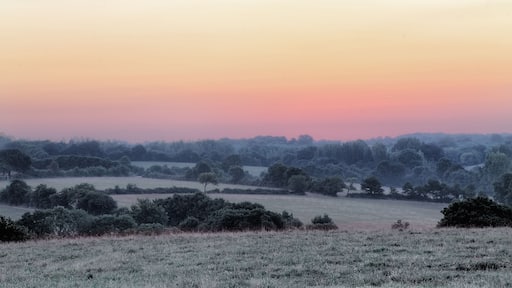 L'Ăle-d'Olonne, France