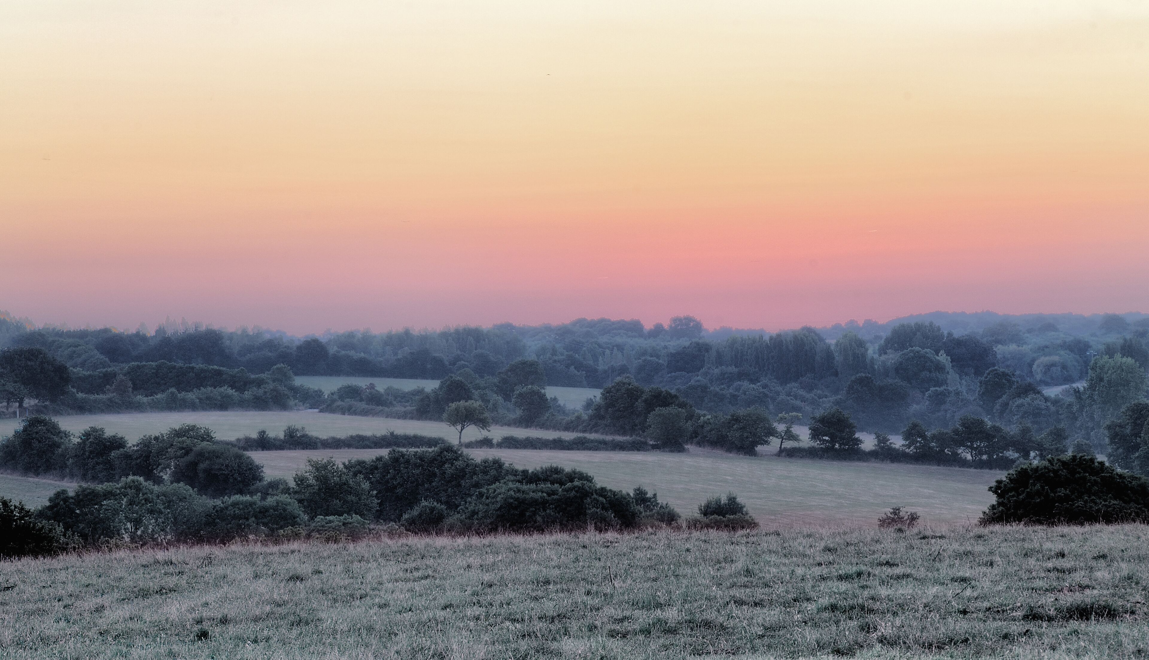 A frost-covered field with trees and a pinkish sky at dawn or dusk.