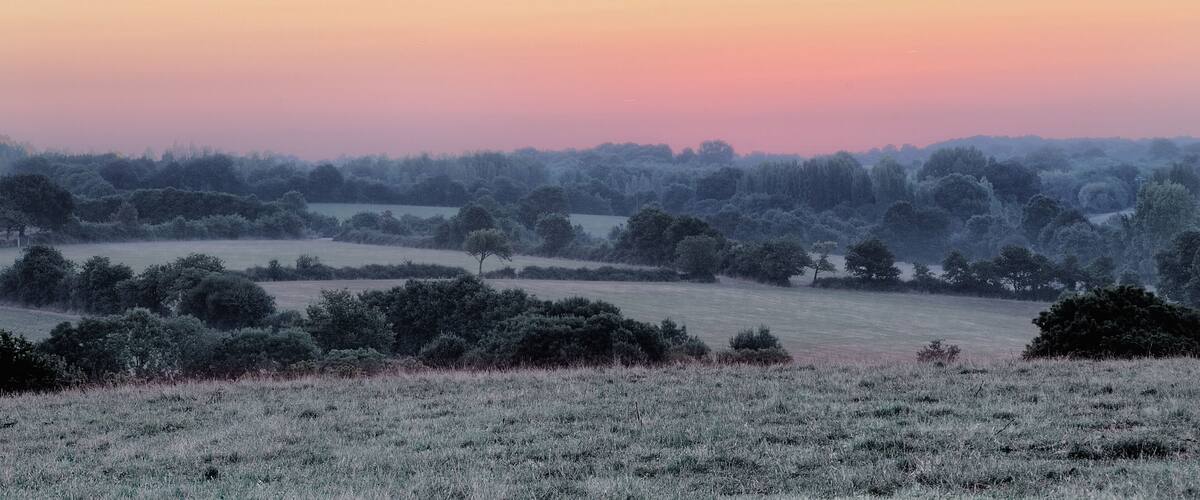 A frost-covered field with trees and a pinkish sky at dawn or dusk.
