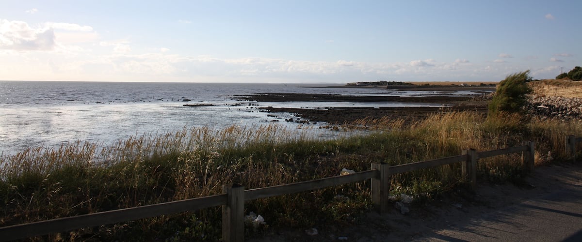 A coastal landscape with a wooden fence, grassy dunes, and a clear sky.