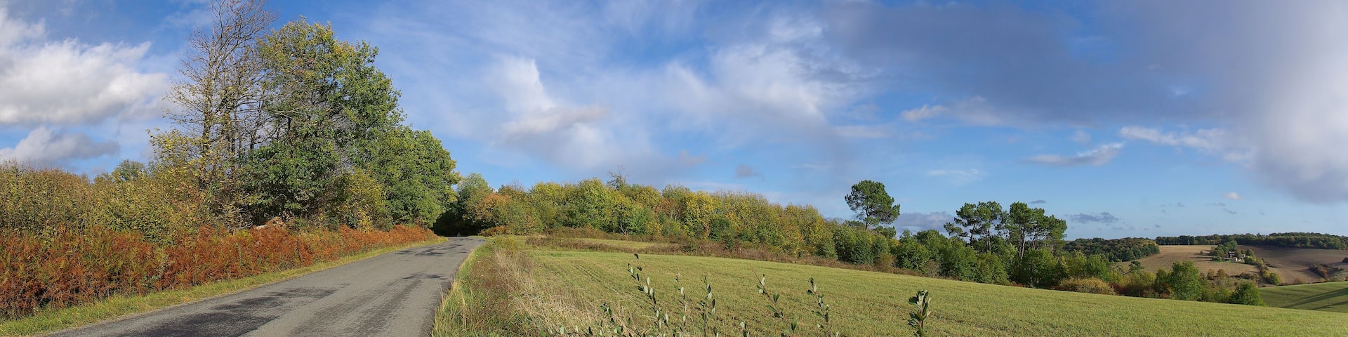 Windy autumn afternoon on road D 24, near Juignac, Charente, France.