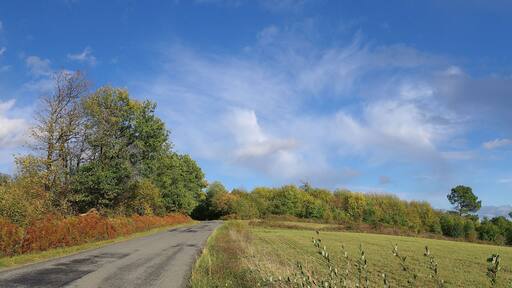 Windy autumn afternoon on road D 24, near Juignac, Charente, France.