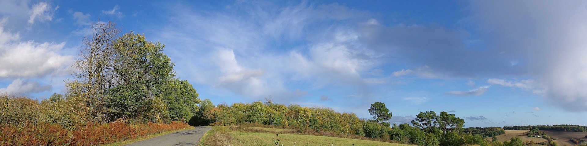 Windy autumn afternoon on road D 24, near Juignac, Charente, France.
