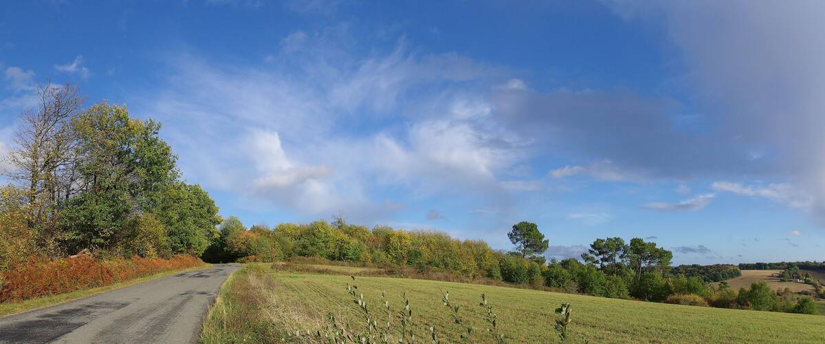 A rural road flanked by trees and fields under a partly cloudy sky.
