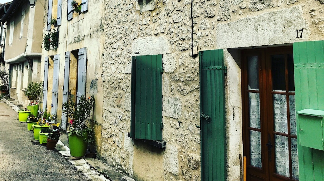 After the amazing Sunday Market, wondering around the medieval town of Issigeac is an absolute delight with its bright shutters and old buildings. #lifeatexpedia #green #dordogne