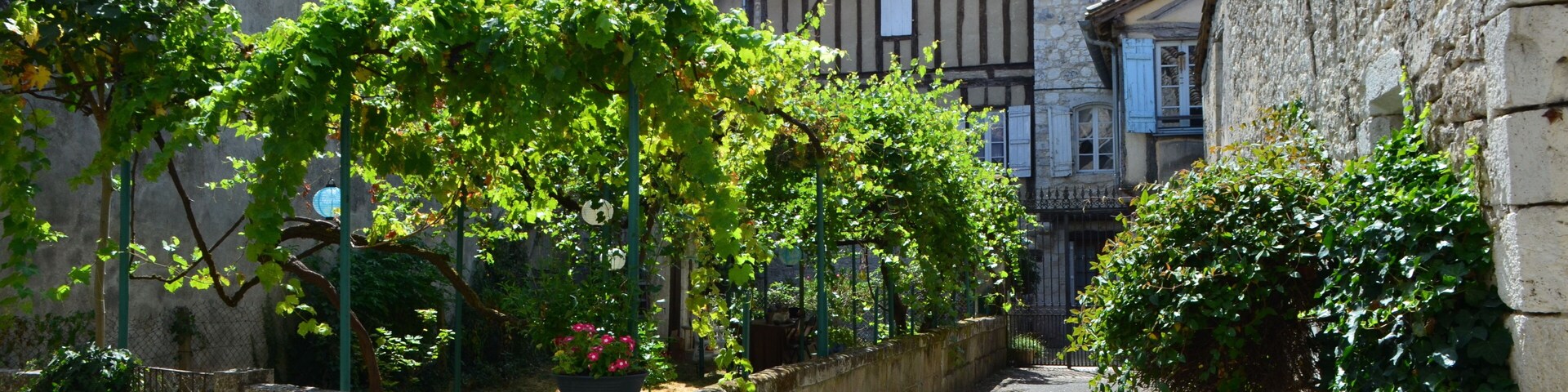 Un callejón estrecho con paredes de piedra, plantas trepadoras y edificios tradicionales.