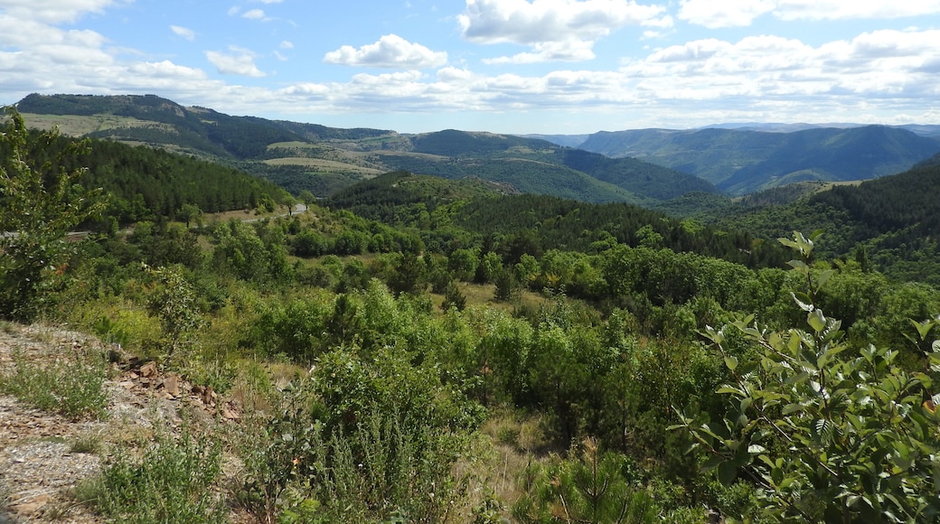 The N106 passes from Nimes via Alès to Mende. This is the Cevennes. It follows the valley of the Gardon, and crosses over the Col de Jalcreste to the valley of the Tarn, and Florac. Near the village of Montmirat it crosses into the watershed of the Lot. On the N106 climbing to Montmirat