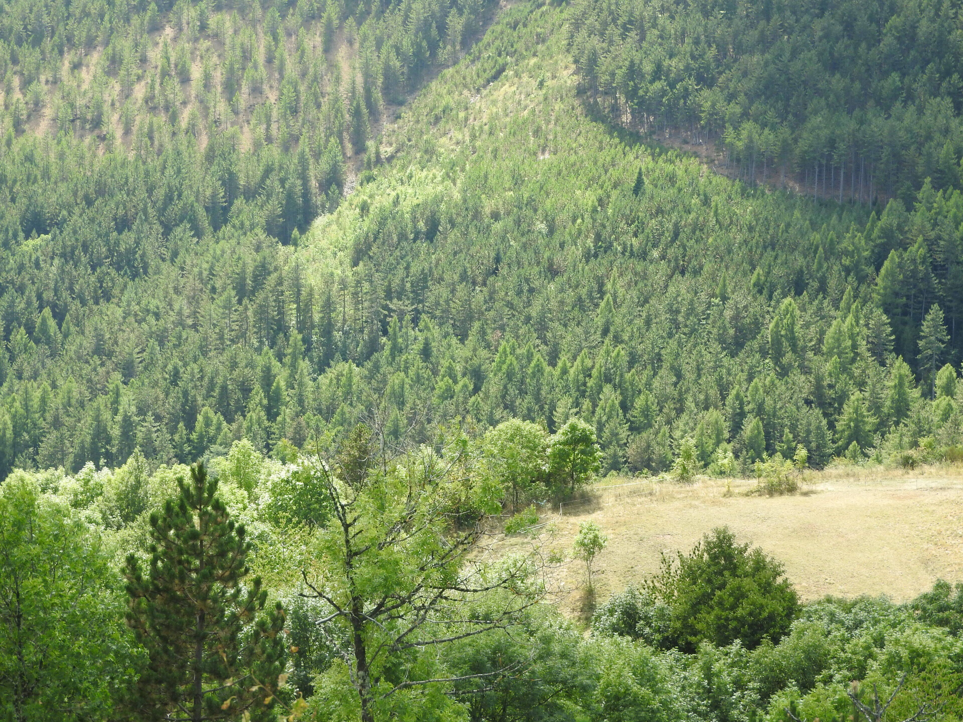 The N106 passes from Nimes via Alès to Mende. This is the Cevennes. It follows the valley of the Gardon, and crosses over the Col de Jalcreste to the valley of the Tarn, and Florac. Near the village of Montmirat it crosses into the watershed of the Lot. On the N106 climbing to Montmirat