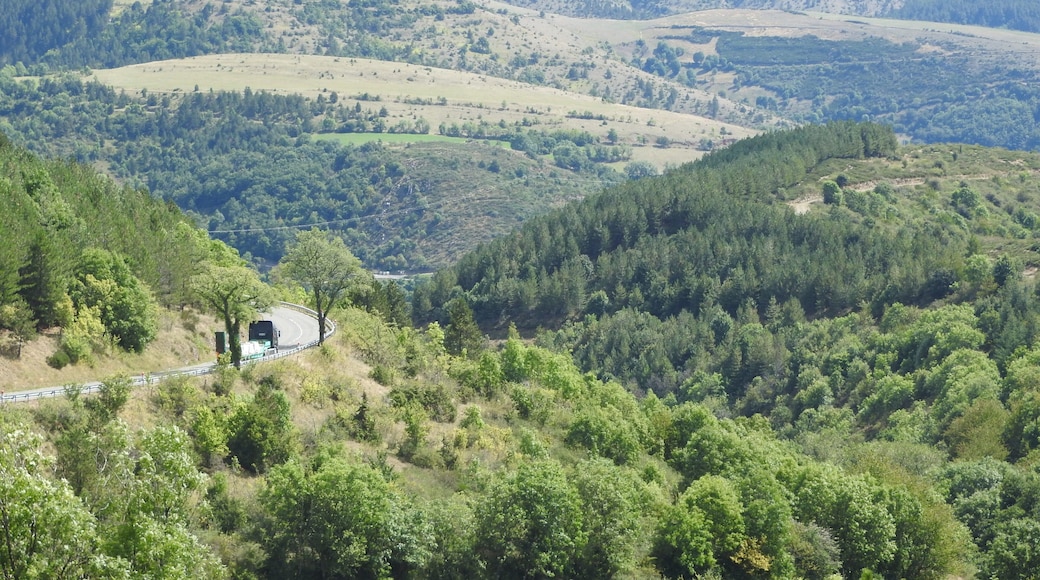The N106 passes from Nimes via Alès to Mende. This is the Cevennes. It follows the valley of the Gardon, and crosses over the Col de Jalcreste to the valley of the Tarn, and Florac. Near the village of Montmirat it crosses into the watershed of the Lot. On the N106 climbing to Montmirat