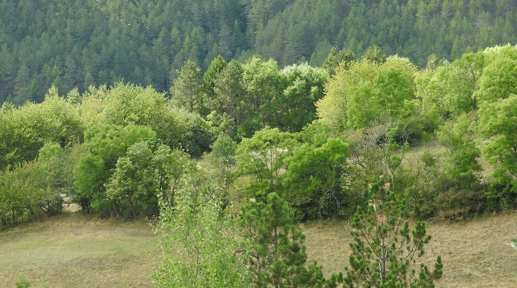 The N106 passes from Nimes via Alès to Mende. This is the Cevennes. It follows the valley of the Gardon, and crosses over the Col de Jalcreste to the valley of the Tarn, and Florac. Near the village of Montmirat it crosses into the watershed of the Lot. On the N106 climbing to Montmirat
