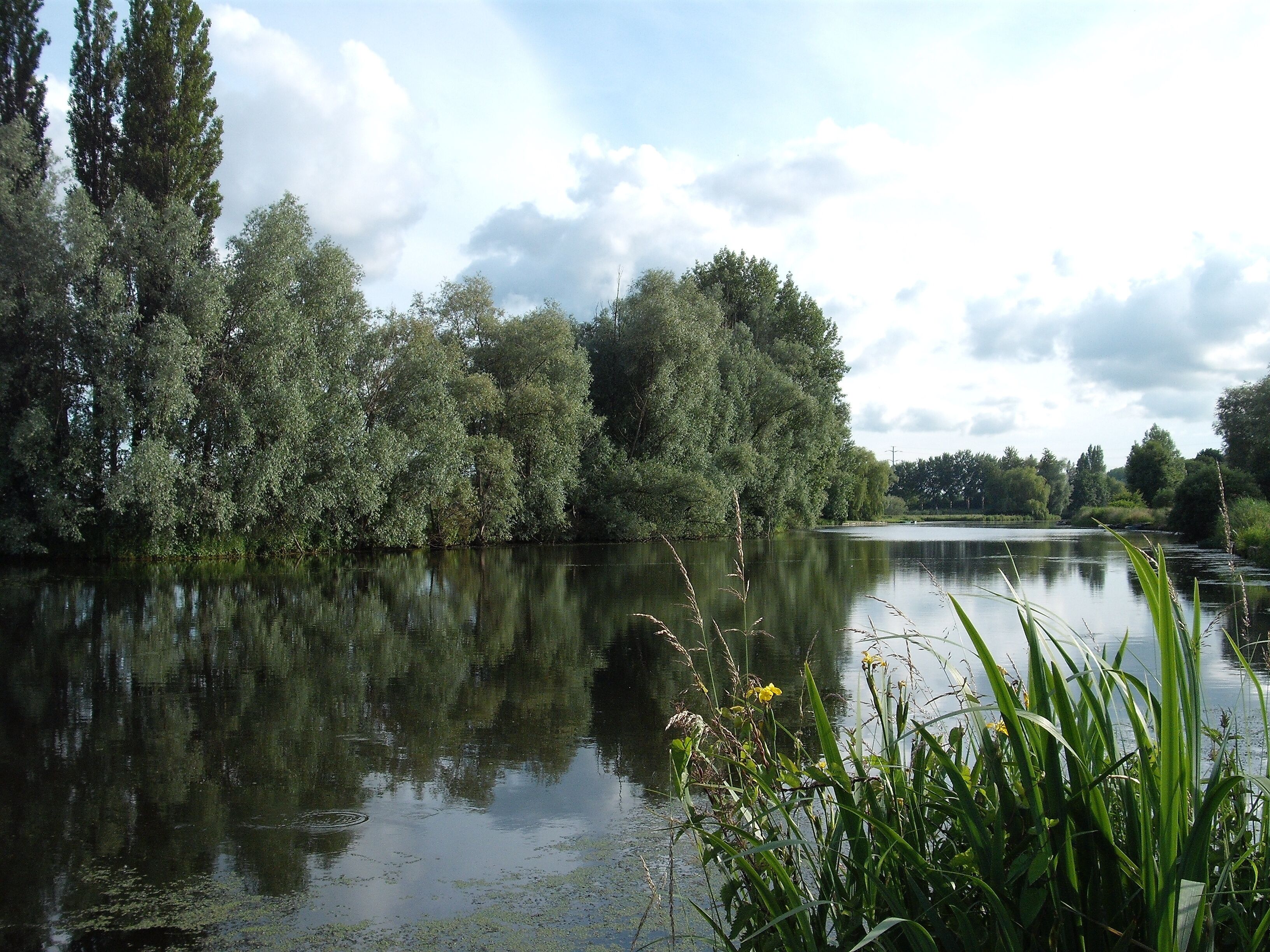 A calm river with dense trees on the banks, surrounded by greenery and a partly cloudy sky.
