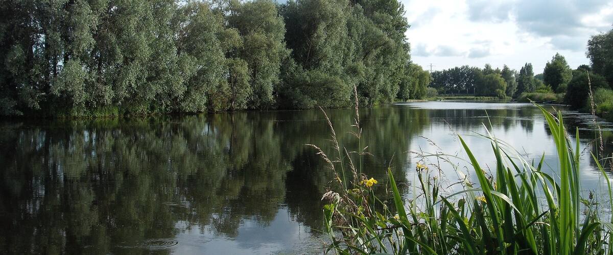 A calm river with dense trees on the banks, surrounded by greenery and a partly cloudy sky.