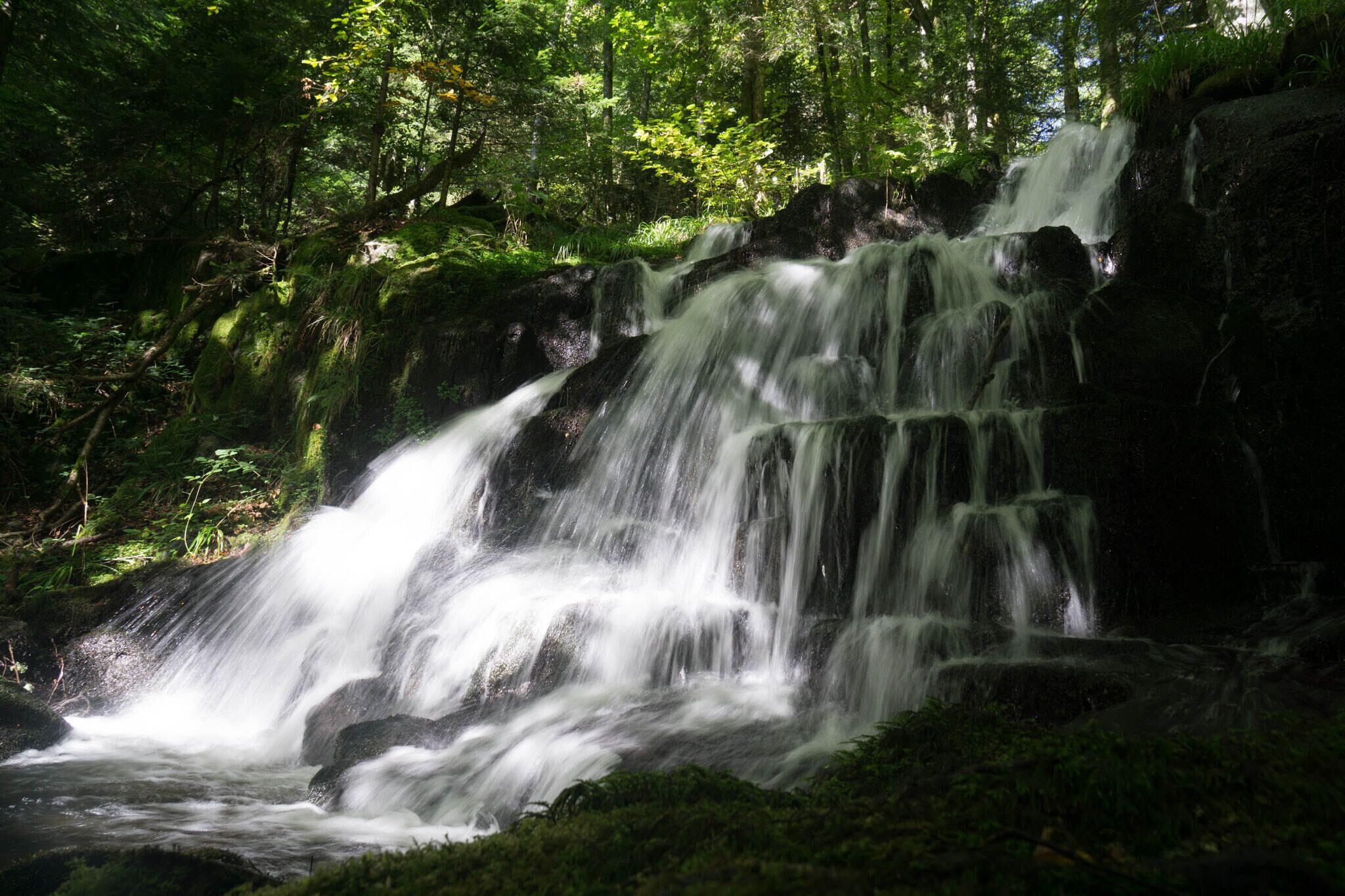A waterfall cascading over rocks in a lush forest.