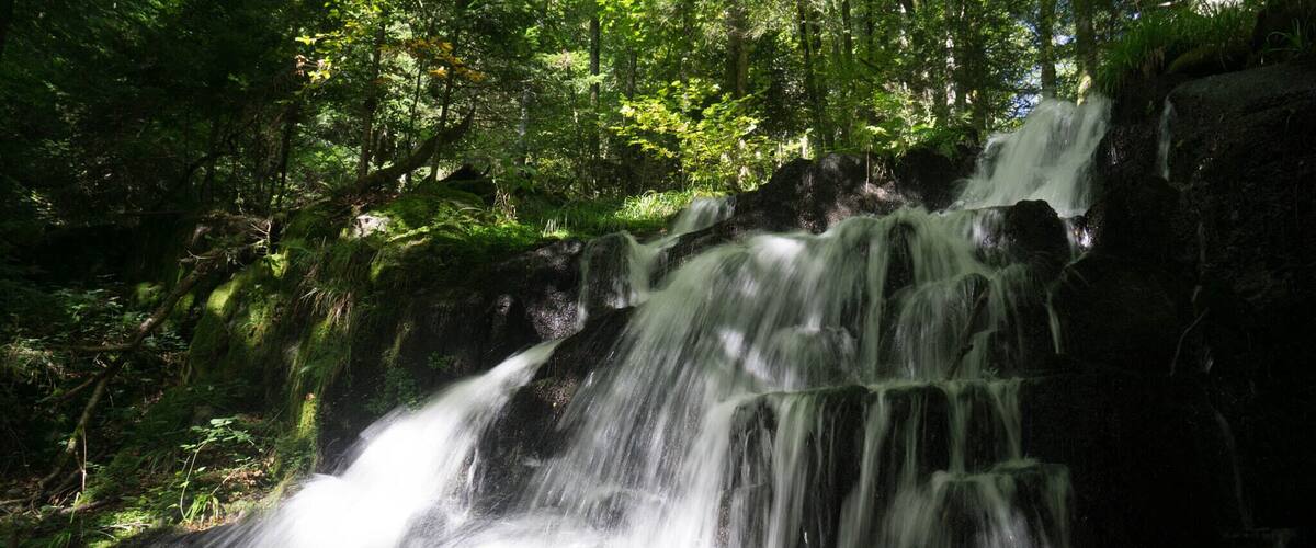 A waterfall cascading over rocks in a lush forest.