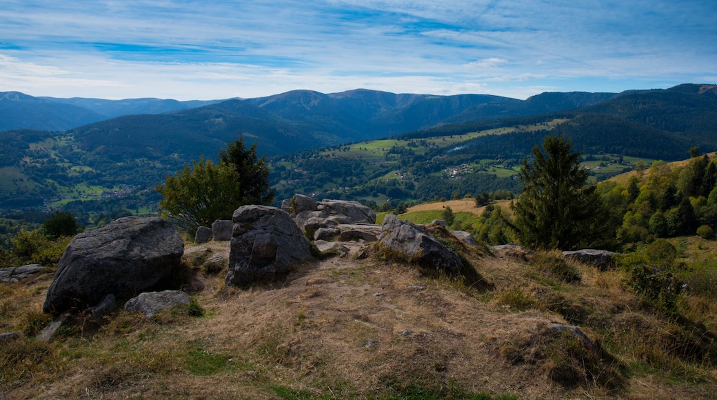 Vogesenidylle bei Hohrodberg nahe Munster