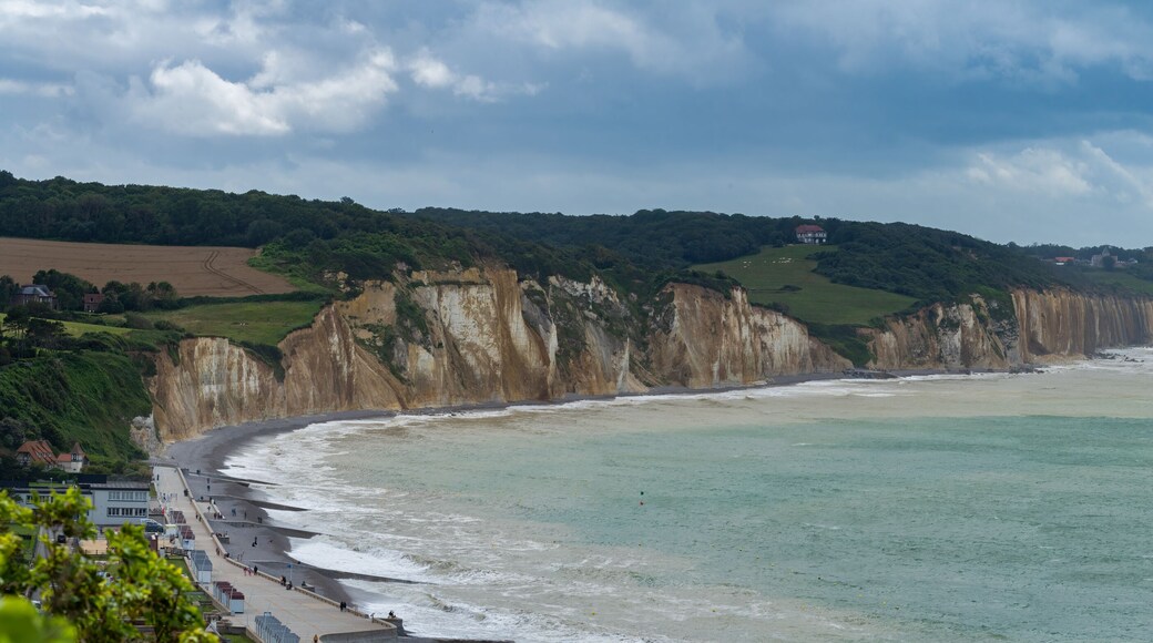 Panoramic view of the high cliffs at Hautot sur Mer in Normandy, France