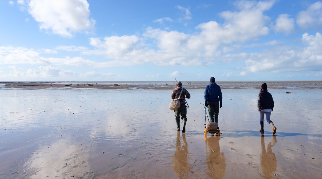 Walk fishing in Hauteville-sur-Mer beach