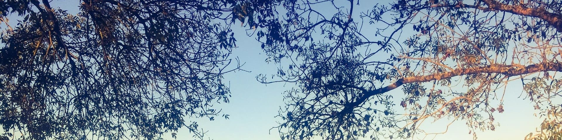 Ideal spot for having a short balade through the Marais of Goulaine. Water + wine should offer to you better hike place at 30min from Nantes. Be careful : during Falls, some of the roads are close because of hunting