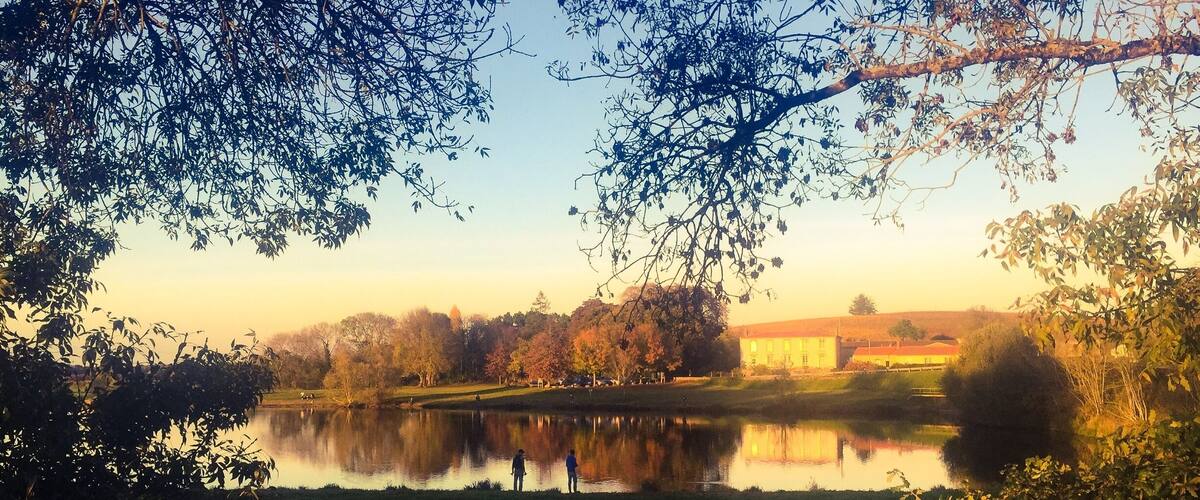 A serene lakeside landscape with trees, a building, and a clear sky.
