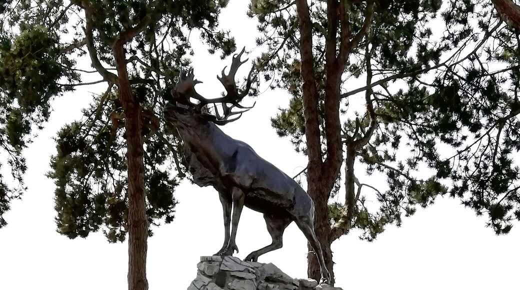 The Newfoundland Memorial.