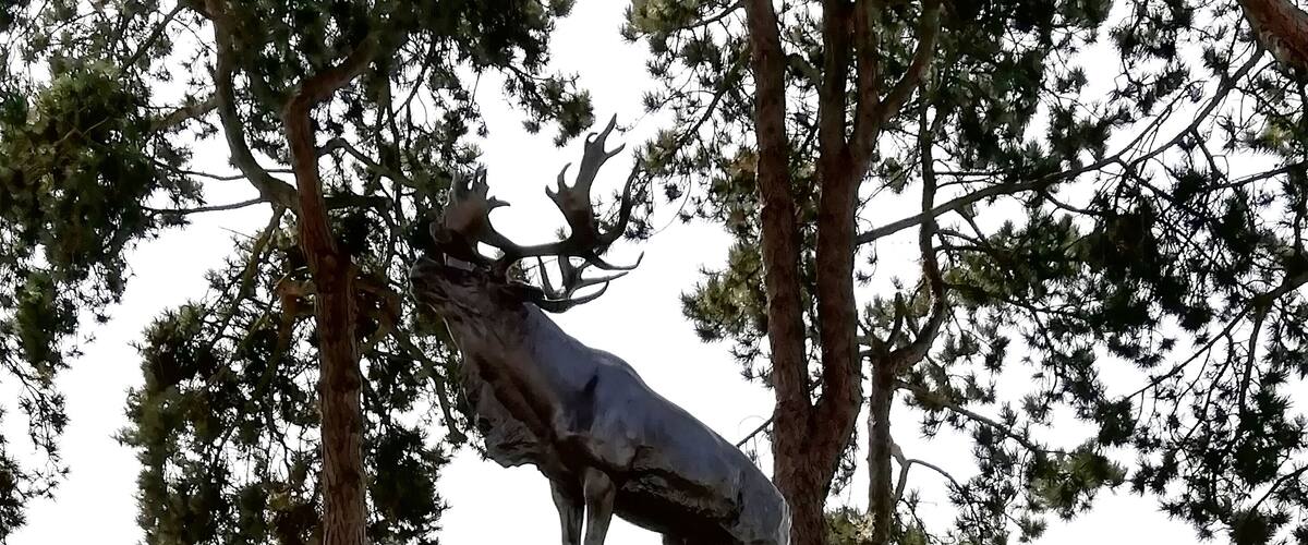 A wolf statue on a rocky pedestal surrounded by trees.