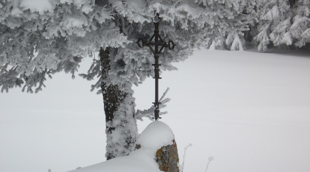 Paysages et scènes de neige à Grandrif, entre le col des Pradeaux et le col de Chougoirand (Puy-de-Dôme, France)
