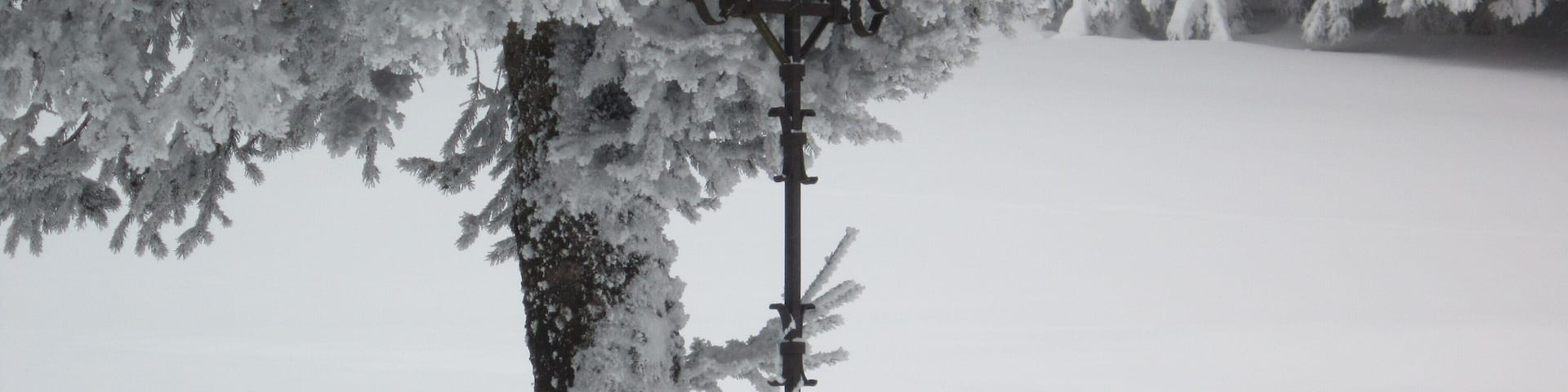 Paysages et scènes de neige à Grandrif, entre le col des Pradeaux et le col de Chougoirand (Puy-de-Dôme, France)