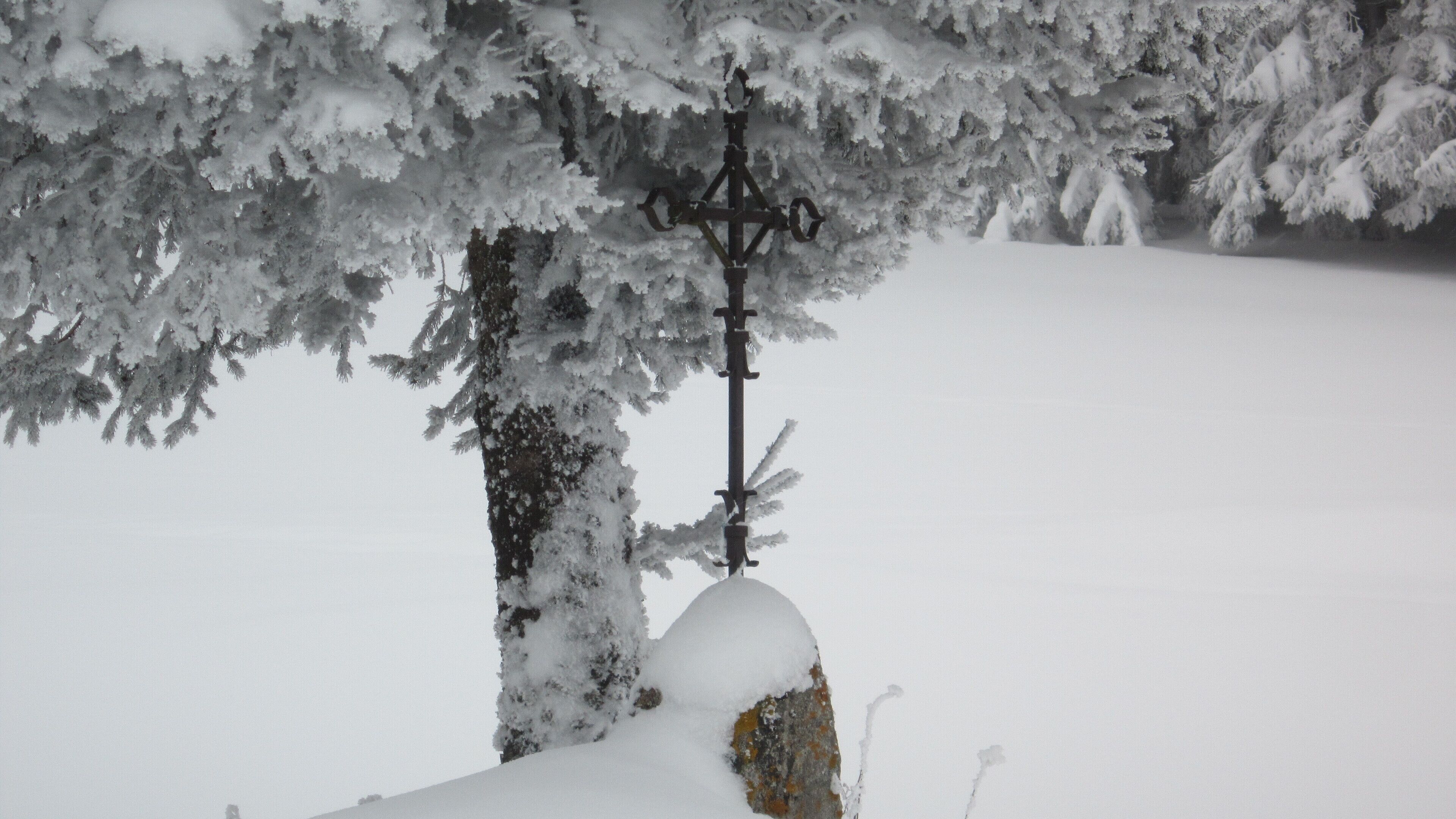 A snow-covered landscape with a tree and a metal lamp post.