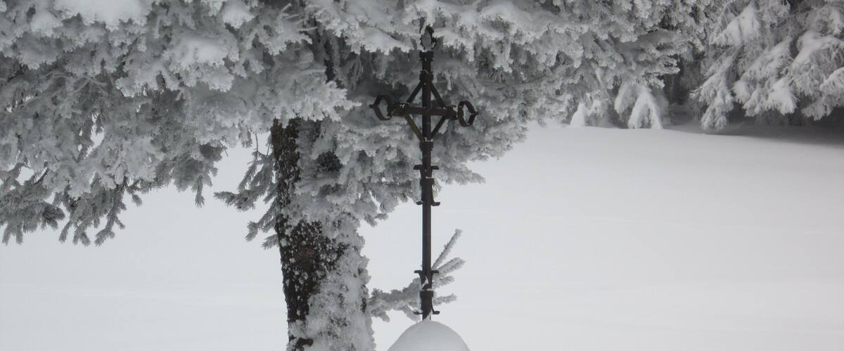 A snow-covered landscape with a tree and a metal lamp post.