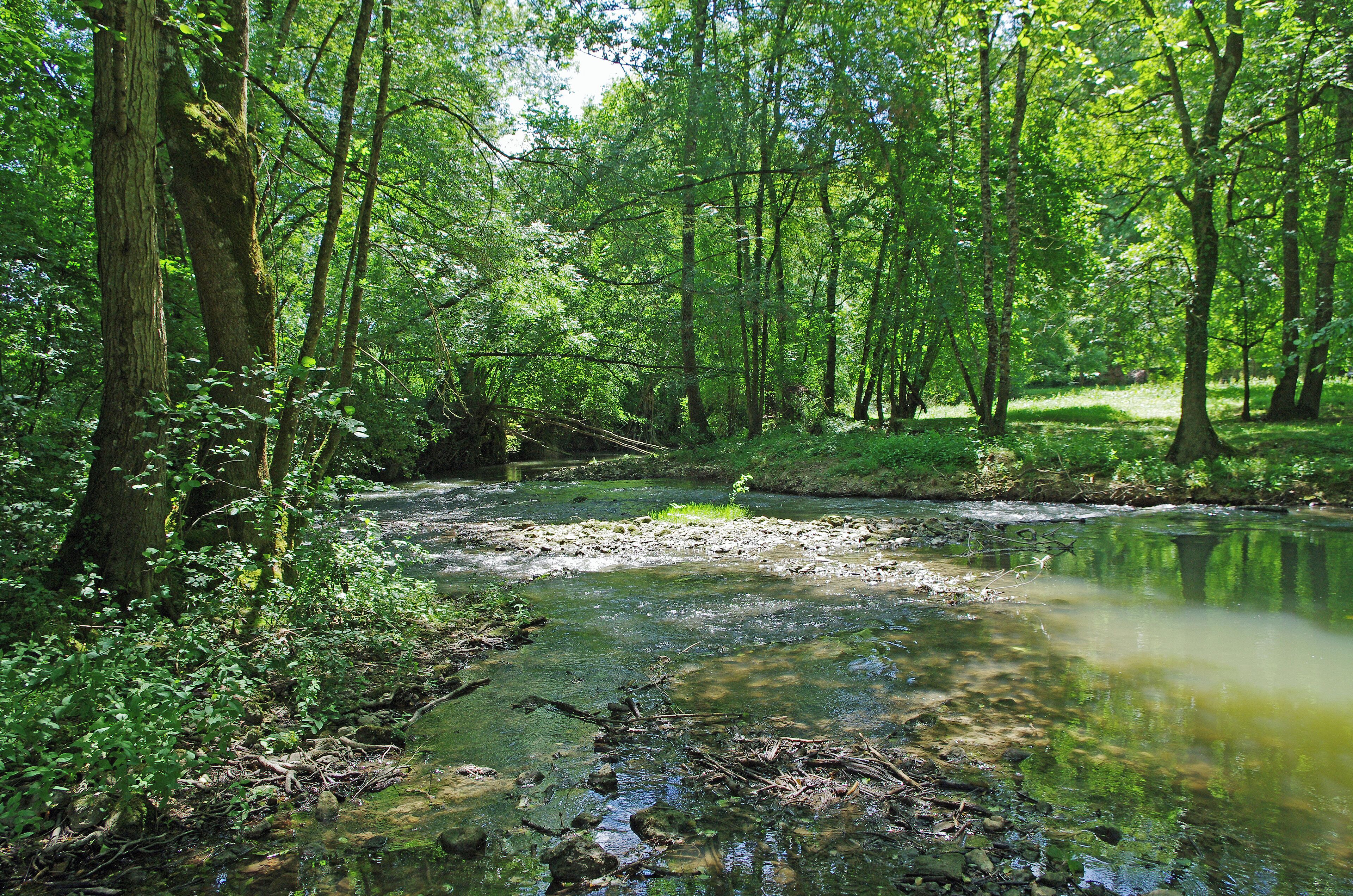 Genillé (Indre-et-Loire) L'Indrois près du Moulin de Mottage. L'Indrois prend sa source à Villegouin (Indre) et se jette dans la rivière Indre vers Azay-sur-Indre, après un parcours d'environ 60 km. The Indrois near the Moulin de Mottage. The Indrois river rises to Villegouin (Indre). The Indrois River flows into the Indre River, near Azay-sur-Indre. The river is 60 km long