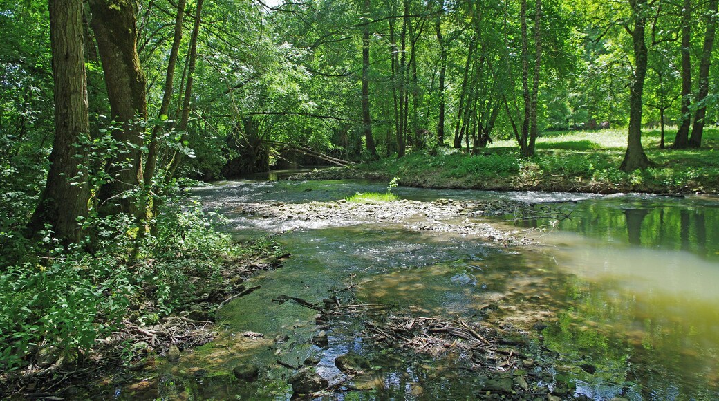 Genillé (Indre-et-Loire) L'Indrois près du Moulin de Mottage. L'Indrois prend sa source à Villegouin (Indre) et se jette dans la rivière Indre vers Azay-sur-Indre, après un parcours d'environ 60 km. The Indrois near the Moulin de Mottage. The Indrois river rises to Villegouin (Indre). The Indrois River flows into the Indre River, near Azay-sur-Indre. The river is 60 km long