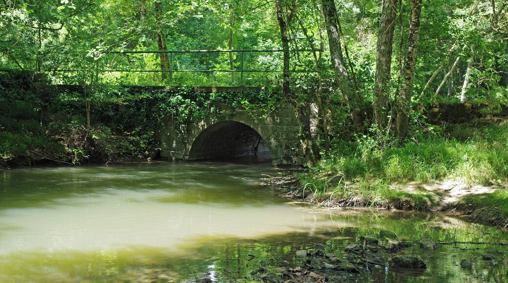 Genillé (Indre-et-Loire) L'Indrois près du Moulin de Mottage. L'Indrois prend sa source à Villegouin (Indre) et se jette dans la rivière Indre vers Azay-sur-Indre, après un parcours d'environ 60 km. The Indrois near the Moulin de Mottage. The Indrois river rises to Villegouin (Indre). The Indrois River flows into the Indre River, near Azay-sur-Indre. The river is 60 km long