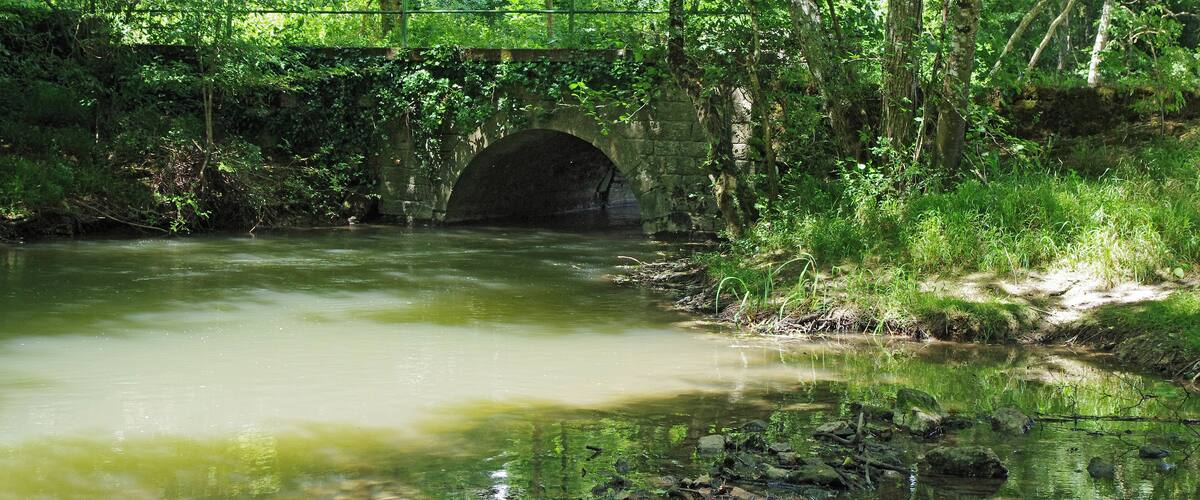 A stone bridge over a calm river surrounded by lush greenery.