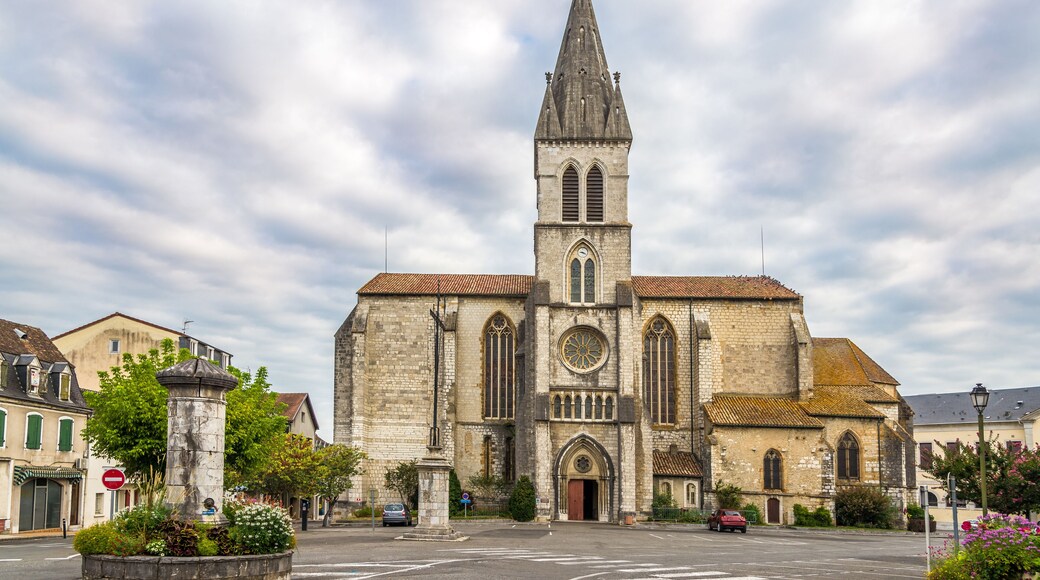 Church Saint Pierre in Orthez - France