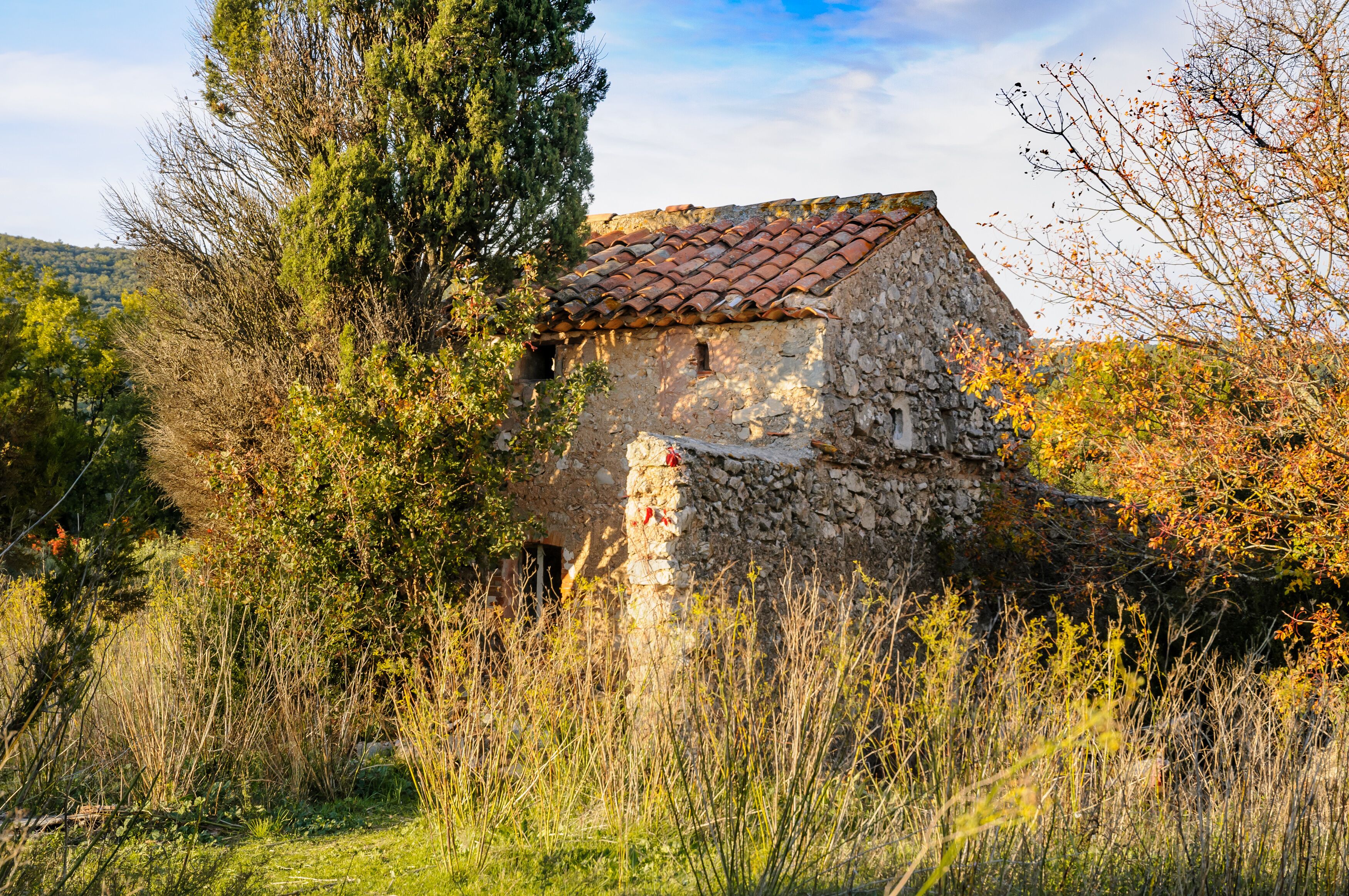 A stone building with a red-tiled roof surrounded by tall grass and trees.