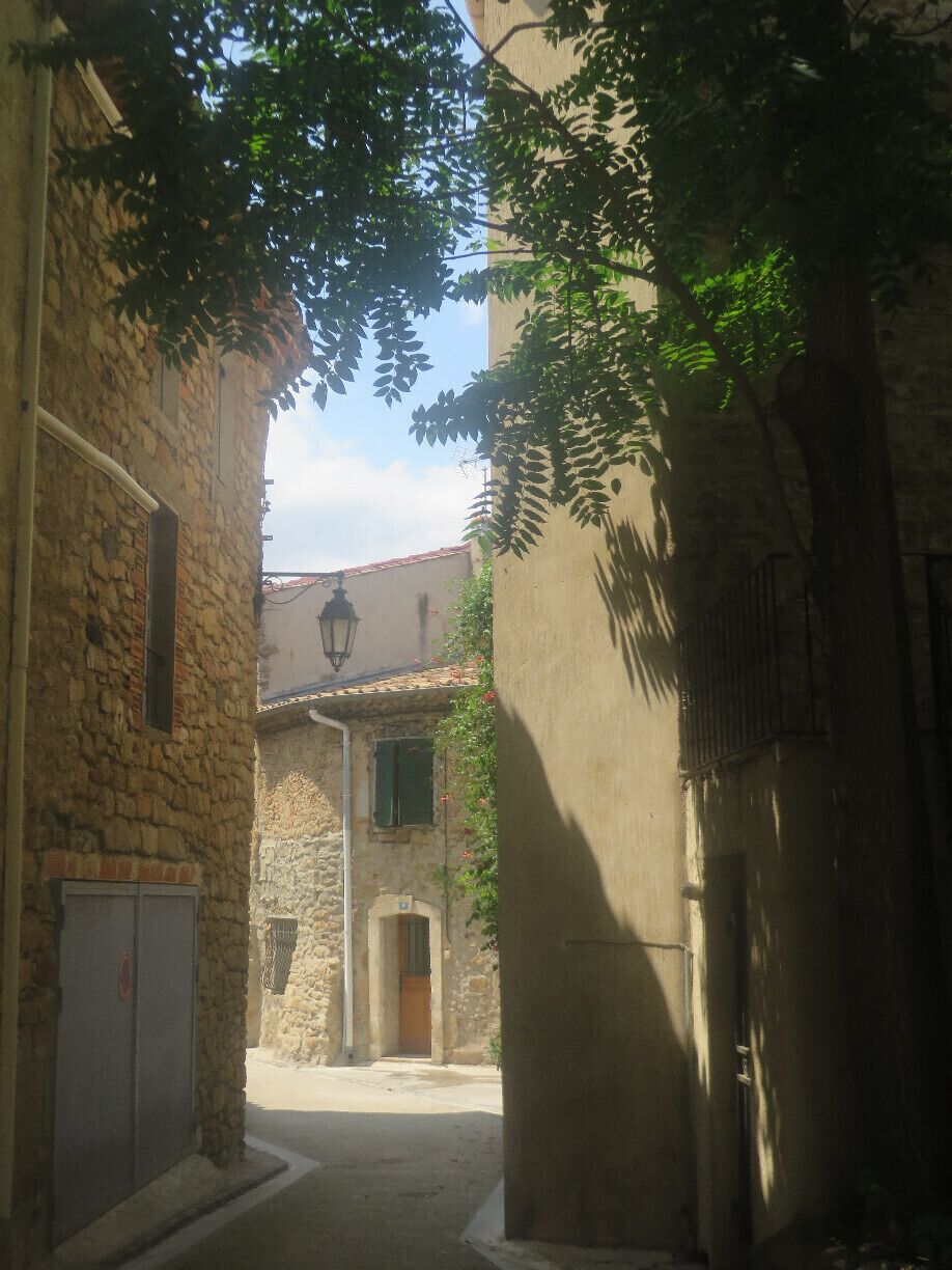 A narrow street with stone buildings, a wooden door, and a tree providing shade.