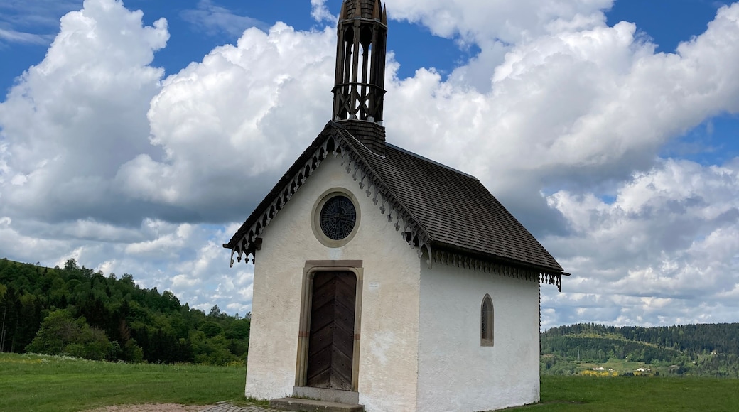 Chapelle des Vès - Fresse-sur-Moselle - Vosges - France - Europe
