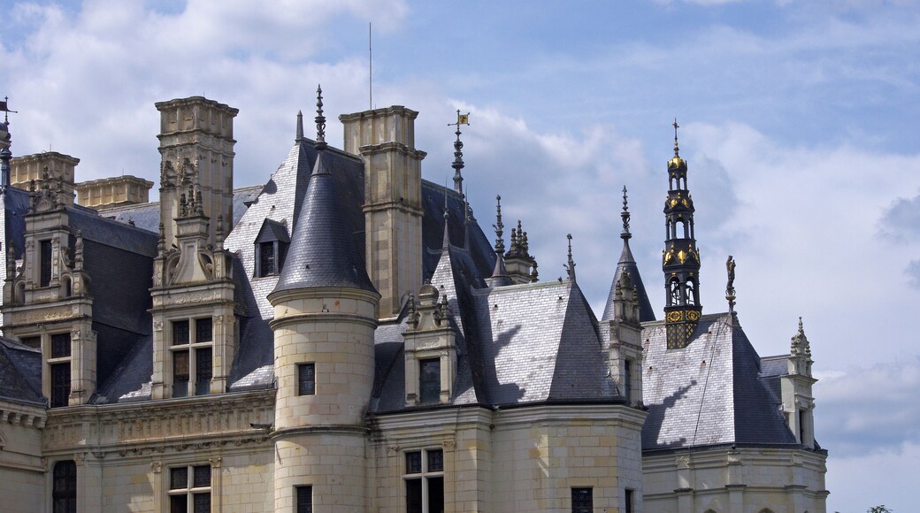 Le Château de Chenonceau. Une gigantesque campagne de travaux qui a duré trois ans a coûté presque 5 millions d'euros, dont un tiers par l'Etat. 30% du coût fut consacré à la toiture. Le campanile de la partie Est du logis fut descendu, restauré et remonté tout neuf et tout doré. A long period of work lasted three years has cost nearly 5 million euros, one third by the state. 30% of the cost was for the roof. The bell tower of the eastern part of the house was taken down, restored and reassembled brand new and golden.