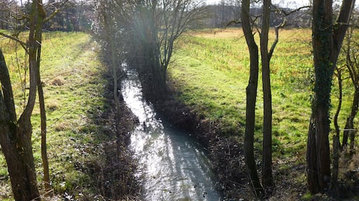 Saint-Maurice-sur-Aveyron, Loiret, région Centre, France. The "ru de Dorlot" in January 2014, looking upstream from the D56 road to Charny. This is a tributary of the river Aveyron which lies slightly on the right just beyond the line of trees seen here, as does Fontainejean and its 12th-century abbey ruins.