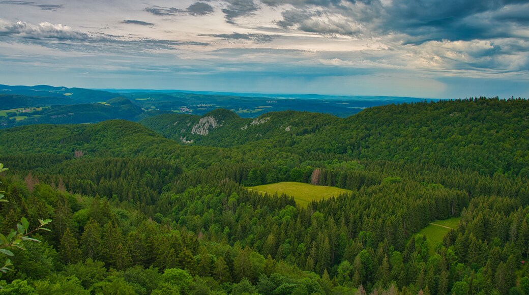 Berge des französischen Jura bei Foncine le Haut