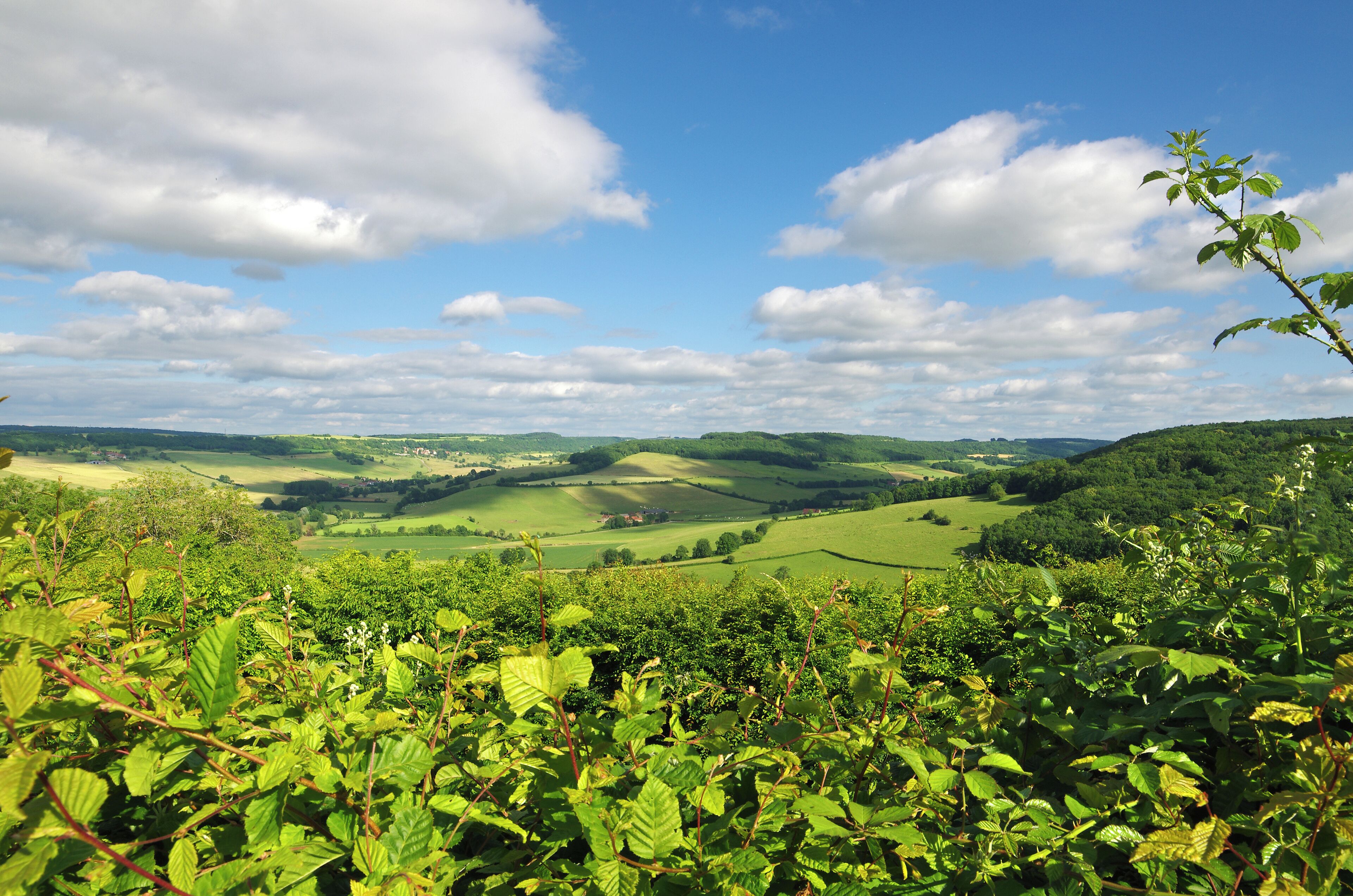 Flavigny-sur-Ozerain (Côte-d'Or)