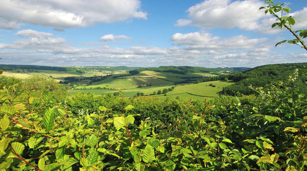 Flavigny-sur-Ozerain (Côte-d'Or)